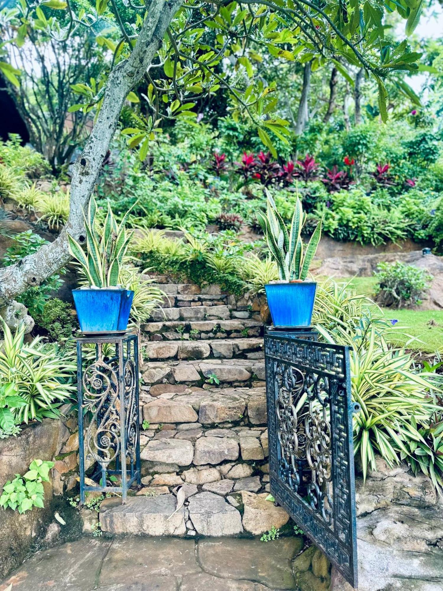 Binh An Village Вунг Тау Екстериор снимка